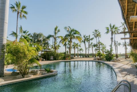 Garden view, Swimming pool