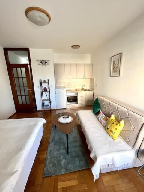 Studio 6 Apartment in Podgorica