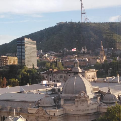 View (from property/room), City view