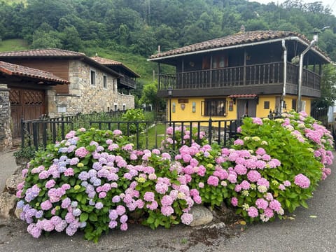 Property building, Garden