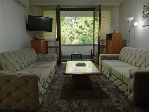 Living room, Seating area, air conditioner