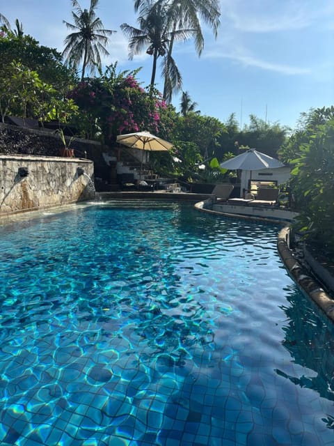 Pool view, Swimming pool
