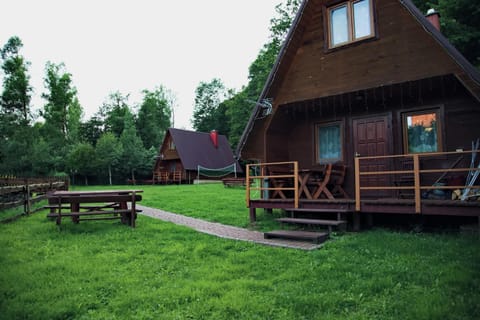 Day, Natural landscape, Garden
