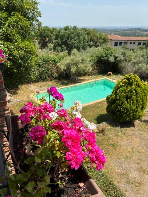 Pool view
