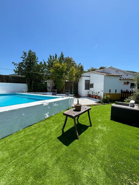Natural landscape, Garden, Garden, Garden view, Swimming pool, Open Air Bath, sunbed