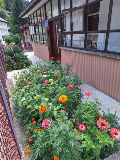 Property building, Patio, Garden view