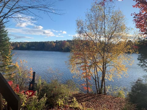Lake view