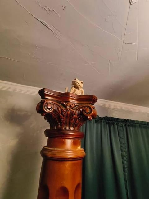 The vampire's den, downtown big house, pets ok House in Fort Smith