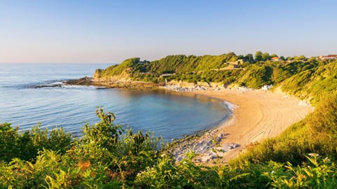 Nearby landmark, Natural landscape, Garden, Beach, Sea view