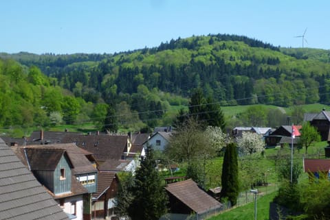 View (from property/room)