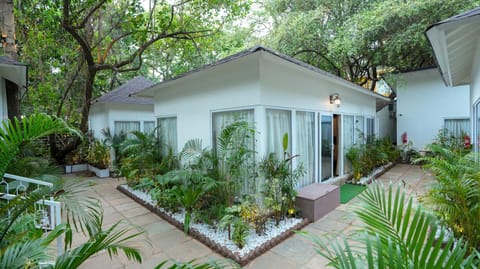 Property building, Spring, Day, Garden, Garden view