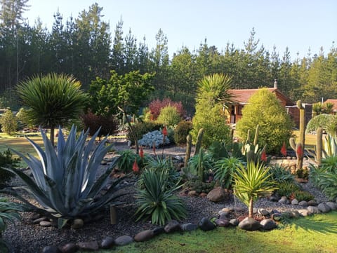 Spring, Garden view