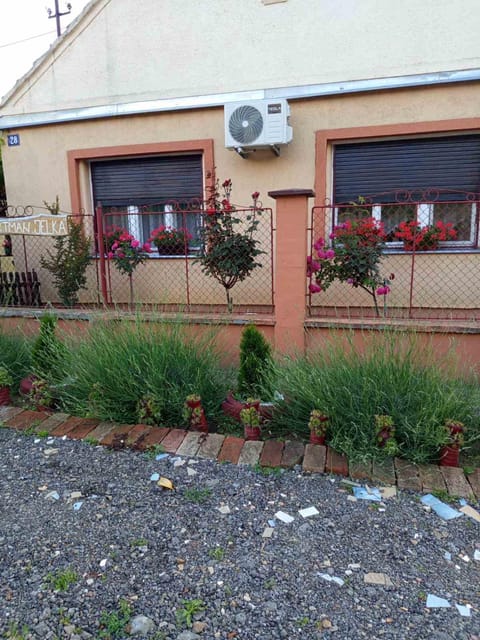 Jelka Apartment in Novi Sad