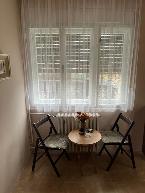 Jelka Apartment in Novi Sad