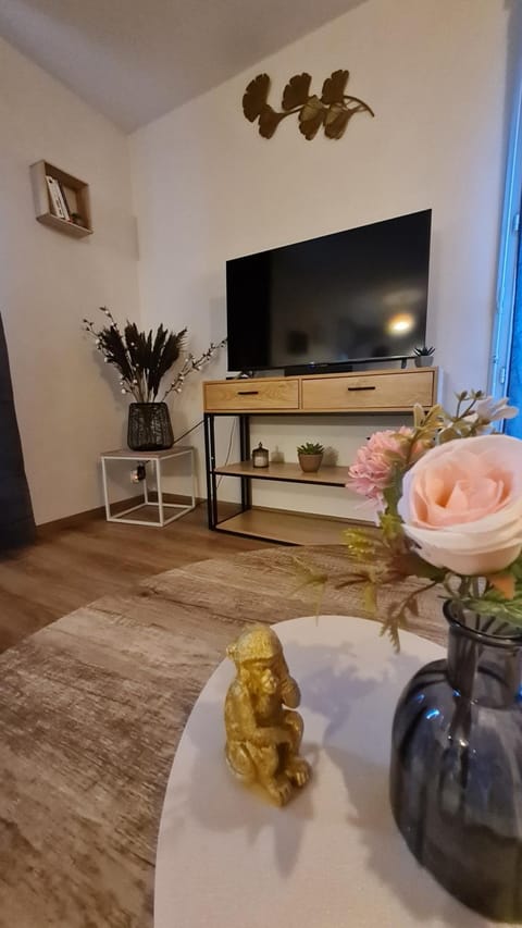 Le Cosy Home Apartment in Oyonnax