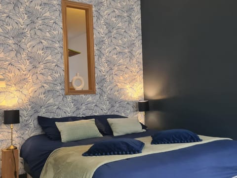 Studio 4 personnes aux pieds du château de Blois avec expérience de dormir sous les aurores boréales Apartment in Blois