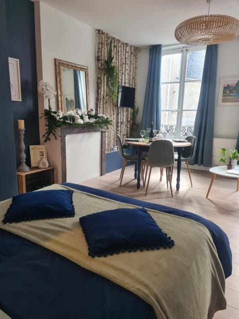 Studio 4 personnes aux pieds du château de Blois avec expérience de dormir sous les aurores boréales Apartment in Blois