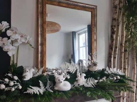Studio 4 personnes aux pieds du château de Blois avec expérience de dormir sous les aurores boréales Apartment in Blois