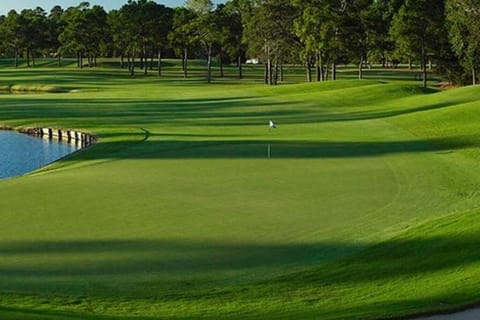 Golfcourse