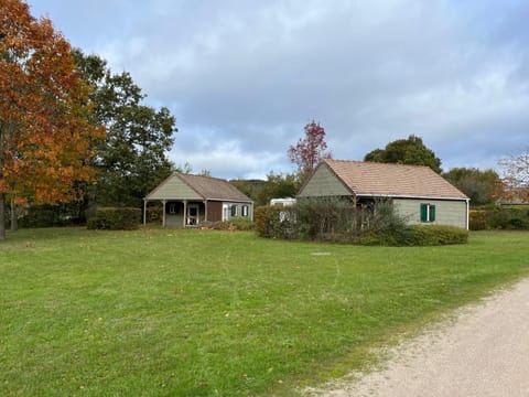 Day, Natural landscape, Garden, Garden view