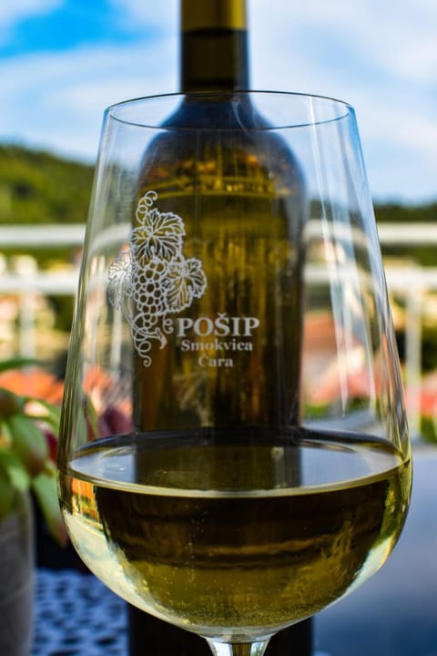 Apartman Meri Apartment in Dubrovnik-Neretva County