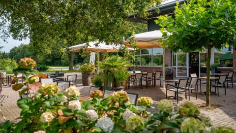 Restaurant/places to eat, Day, Natural landscape, Balcony/Terrace, Food and drinks