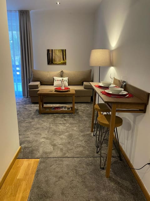 Gondola Studio Brzeće Kopaonik Apartment in Serbia