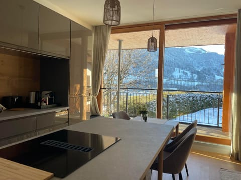 Winklern Lodges Apartment in Kitzbuhel