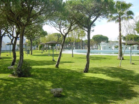 Garden, Swimming pool