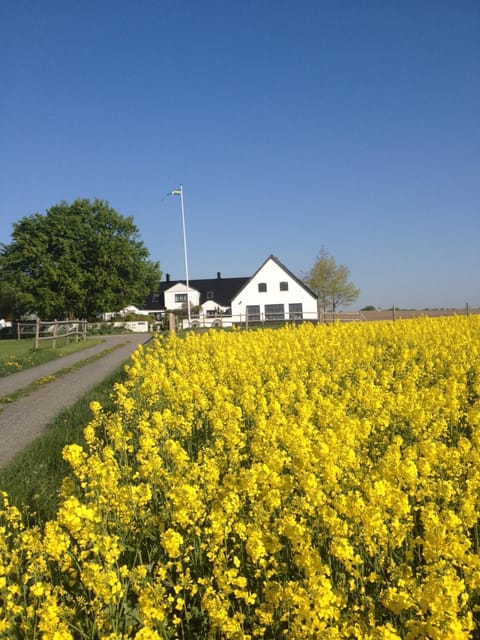 Spring, Natural landscape