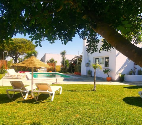 Garden, Solarium, Garden view, Pool view, Swimming pool, sunbed