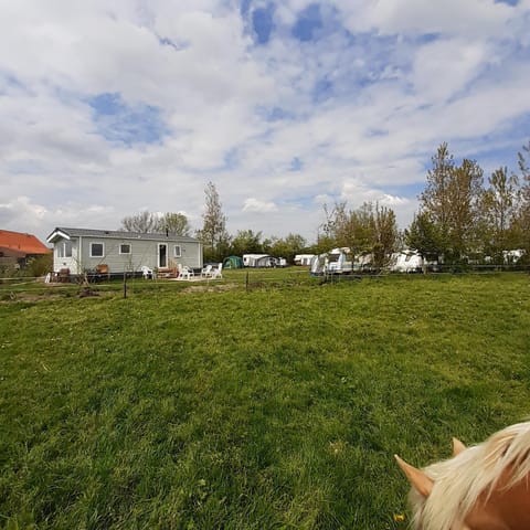Chalet Weizicht op minicamping Hoogelande Chalet in Zeeland, Netherlands