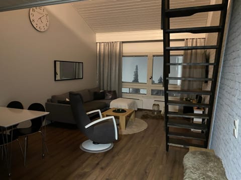 Peipon pesä Apartment in Lapland