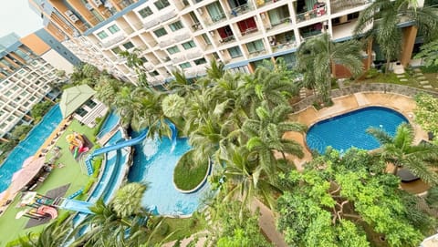 Garden, Pool view, Swimming pool