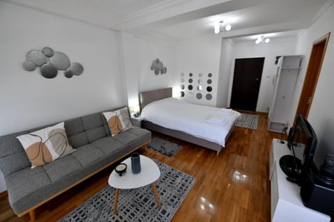 Apartman-studio “Suzana” Apartment in Serbia