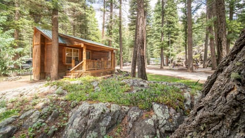 The Iris Cabin #1 at Blue Spruce RV Park & Cabins Cabin in La Plata County