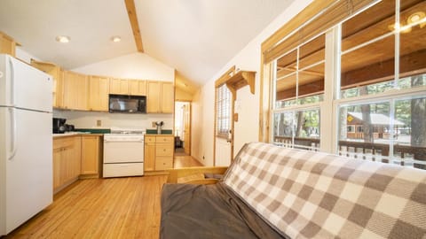 The Iris Cabin #1 at Blue Spruce RV Park & Cabins Cabin in La Plata County