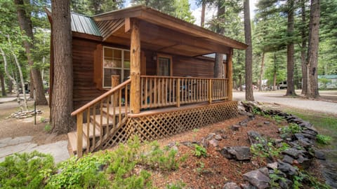 The Iris Cabin #1 at Blue Spruce RV Park & Cabins Cabin in La Plata County