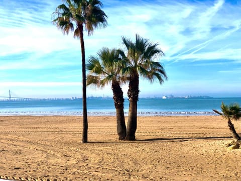 Nearby landmark, Beach, Sea view
