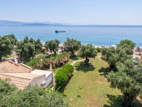 Bird's eye view, Garden, Beach