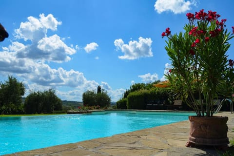 Day, Natural landscape, Garden, Pool view, Swimming pool, Swimming pool, sunbed