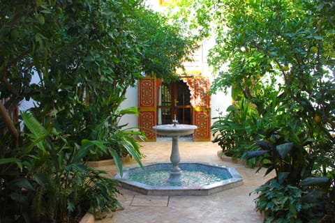 Patio, Garden view