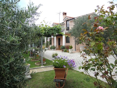 Patio, Facade/entrance