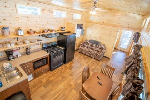 The Sophia Cabin #3 at Blue Spruce RV Park & Cabins Cabin in La Plata County