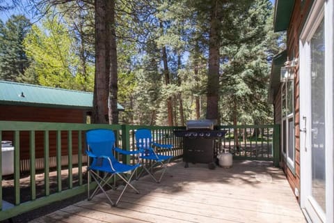 The Twilight Cabin #4 at Blue Spruce RV Park & Cabins Cabin in La Plata County