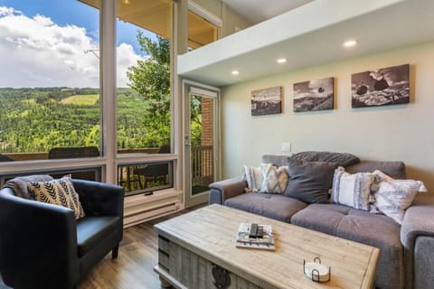 1116 Sandstone Dr 502 House in Vail