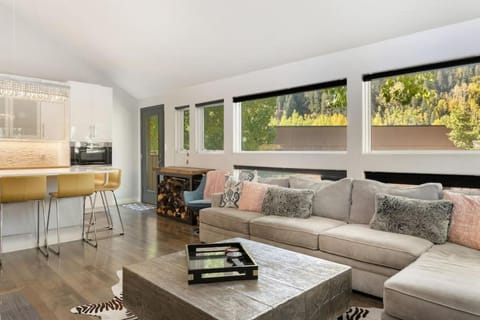 East Vail Pitkin Creek Condo House in Vail