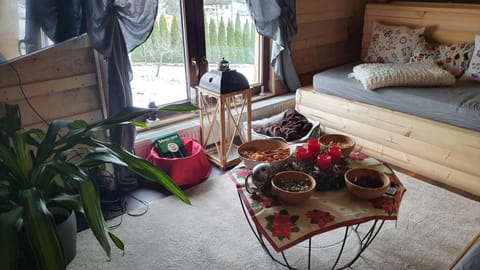 Living room, Photo of the whole room, Seating area, Garden view