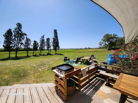 Patio, Natural landscape, Garden view