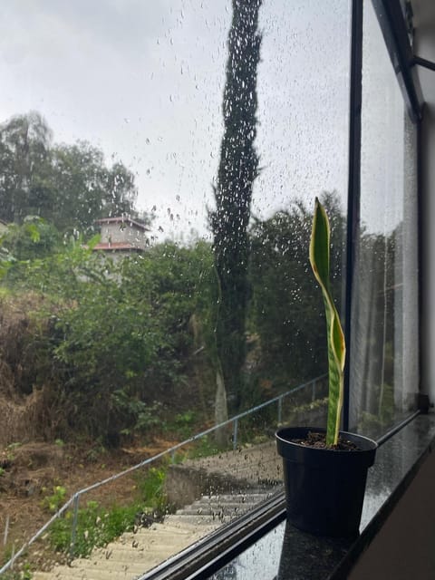 Casa Buena Vibra Hostel Vacation rental in State of Rio de Janeiro